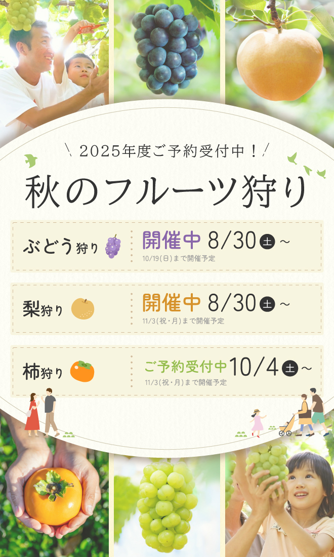2025年度秋のフルーツ狩り開催
