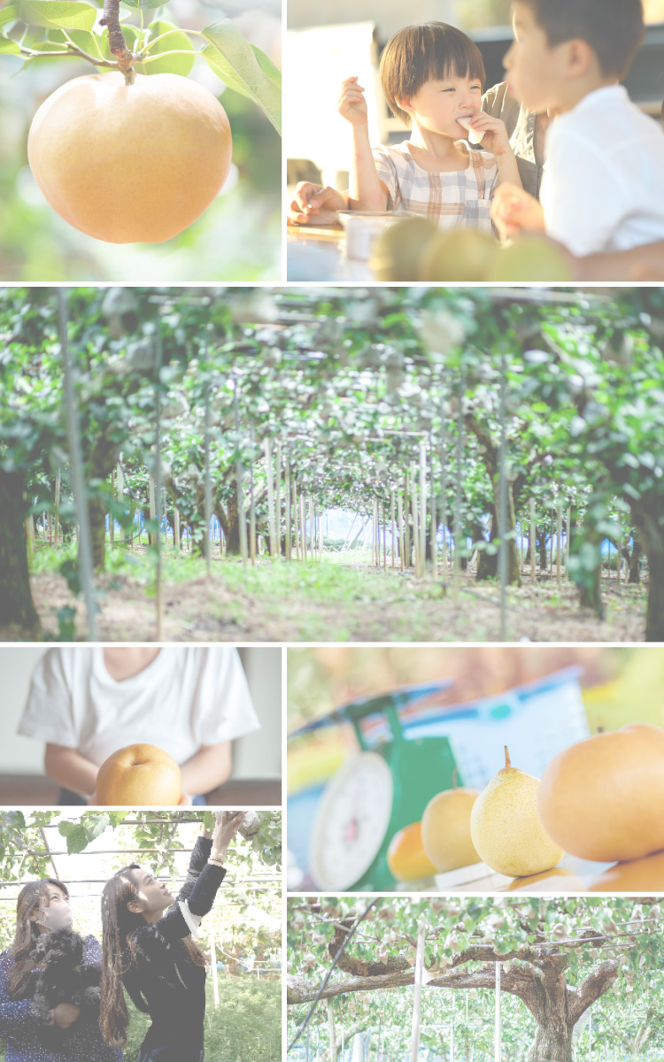 石原果樹園フォトコンテスト2025