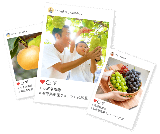 インスタグラム投稿