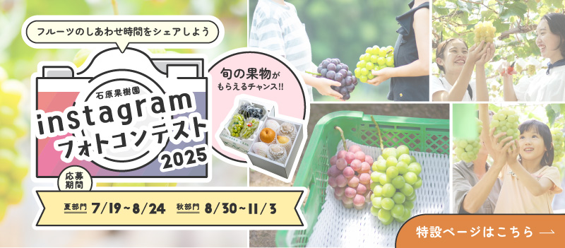 instagramフォトコンテスト2025